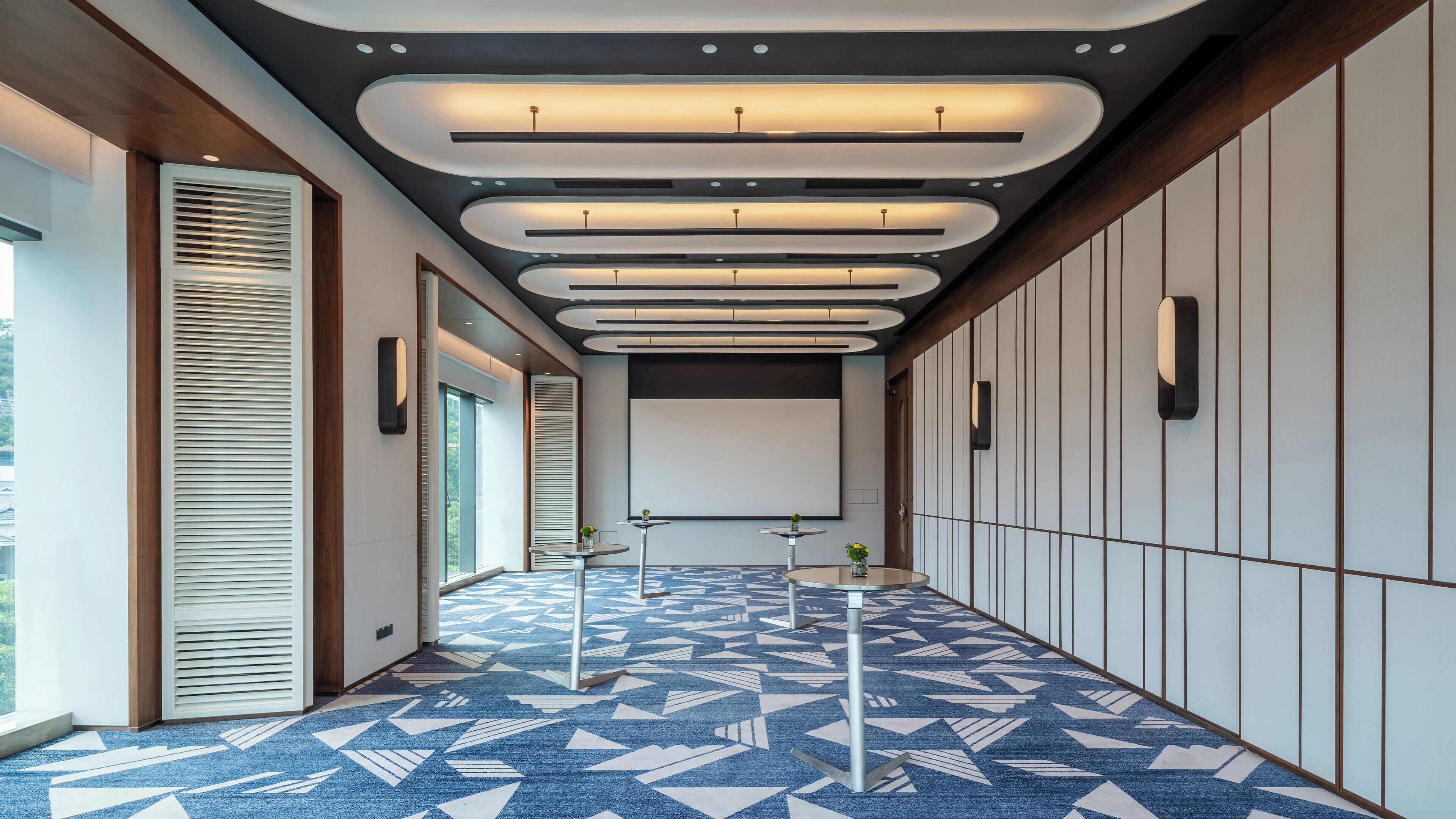 Un couloir moderne avec un tapis à motifs, un éclairage encastré et un grand écran.
