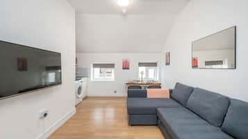 Apartment, 1 Katil Kelamin (Double) dengan Katil Sofa, Kitchen, City View (Grafton B) | Pemandangan dari bilik