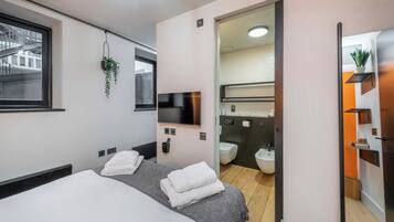 A modern hotel room with a bed, a TV, a mirror, a hanging plant, and a view of the outside.