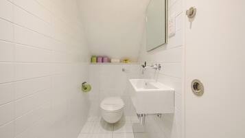 Huoneisto, 1 suuri parisänky ja vuodesohva, terassi, kaupunkinäköala (Park St 10 (1)) | Kylpyhuone