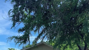 A building with a Texas flag, a welcome sign, a blue door, and a small porch with a chair. - Saykm Bungalow Lake Texoma walking distance to sandy beach & boat ramp (Pottsboro)