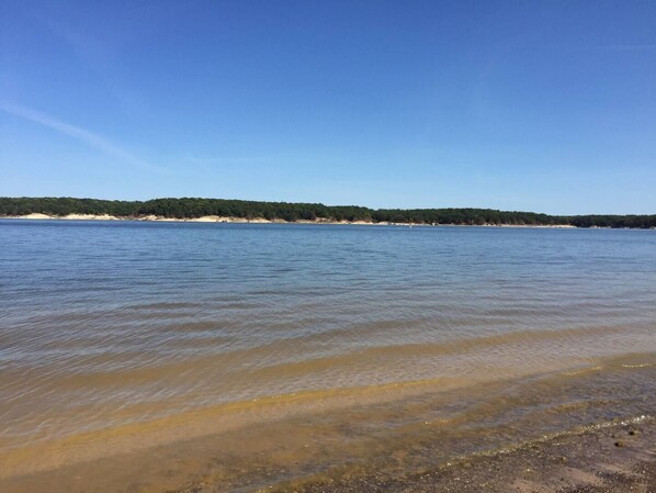 Immagine non classificata, 1 di 24, pulsante