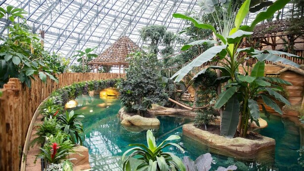 Un giardino botanico interno con soffitto in vetro, una fontana centrale e diverse piante tropicali.