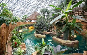 An indoor botanical garden with a glass ceiling, a central water feature, and various tropical plants. - Charmante maison de ville (Saint-Aignan)