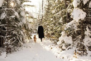 A snowy forest path with a person and a dog walking away from the camera.