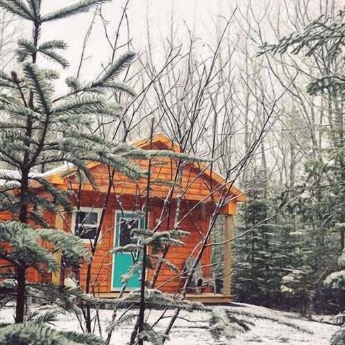 The Birch, West Porters Lake