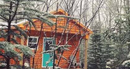 The Birch, West Porters Lake