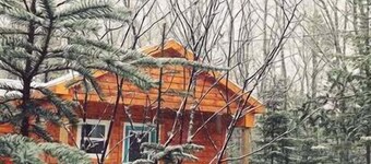 The Birch, West Porters Lake