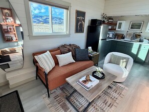 TV connectée, cheminée, livres