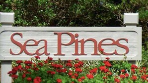 A wooden sign with the text "Sea Pines" surrounded by red flowers. - In the Heart of Harbour Town!  Gorgeous, End Unit Townhome w/ Community Pool & Outdoor Balconies! (Hilton Head Island)