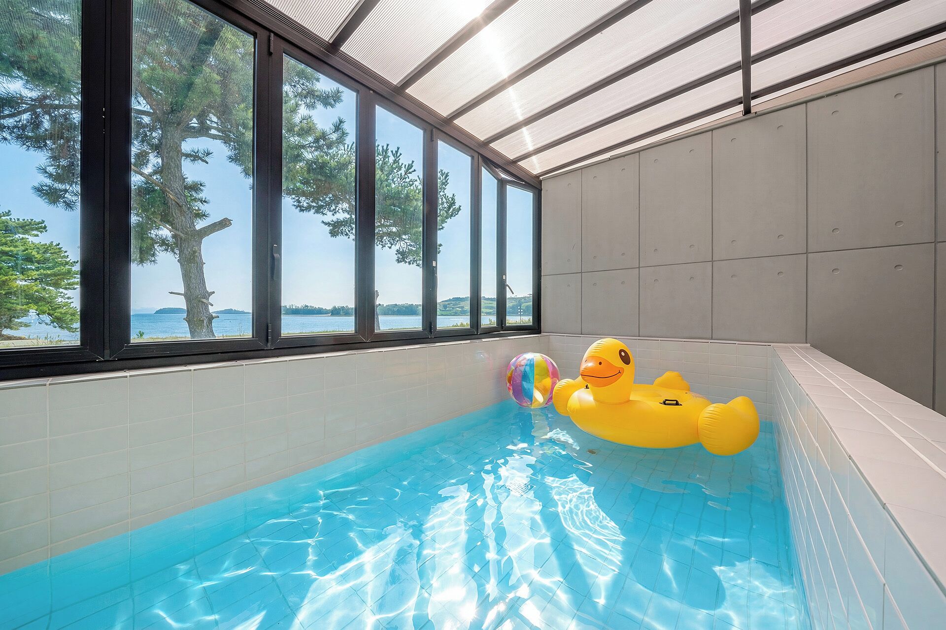 Basic Room, 1 Bedroom (Pool Villa 3 (Private Pet Pool Villa))