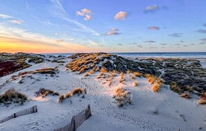 En sandstrand med klitter og et træhegn.