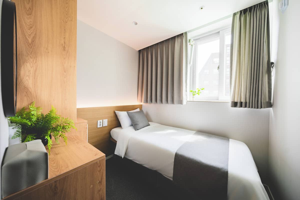 Una cama individual con cabecera de madera, una mesita de noche, una planta en maceta y una ventana con cortinas.