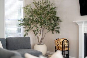 Smart TV y chimenea 