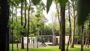 A modern house with large glass windows, surrounded by a forest. - New! The Woods ;  Luxury Home, Pool,  Hot Tub, Fire pit (Saugerties)
