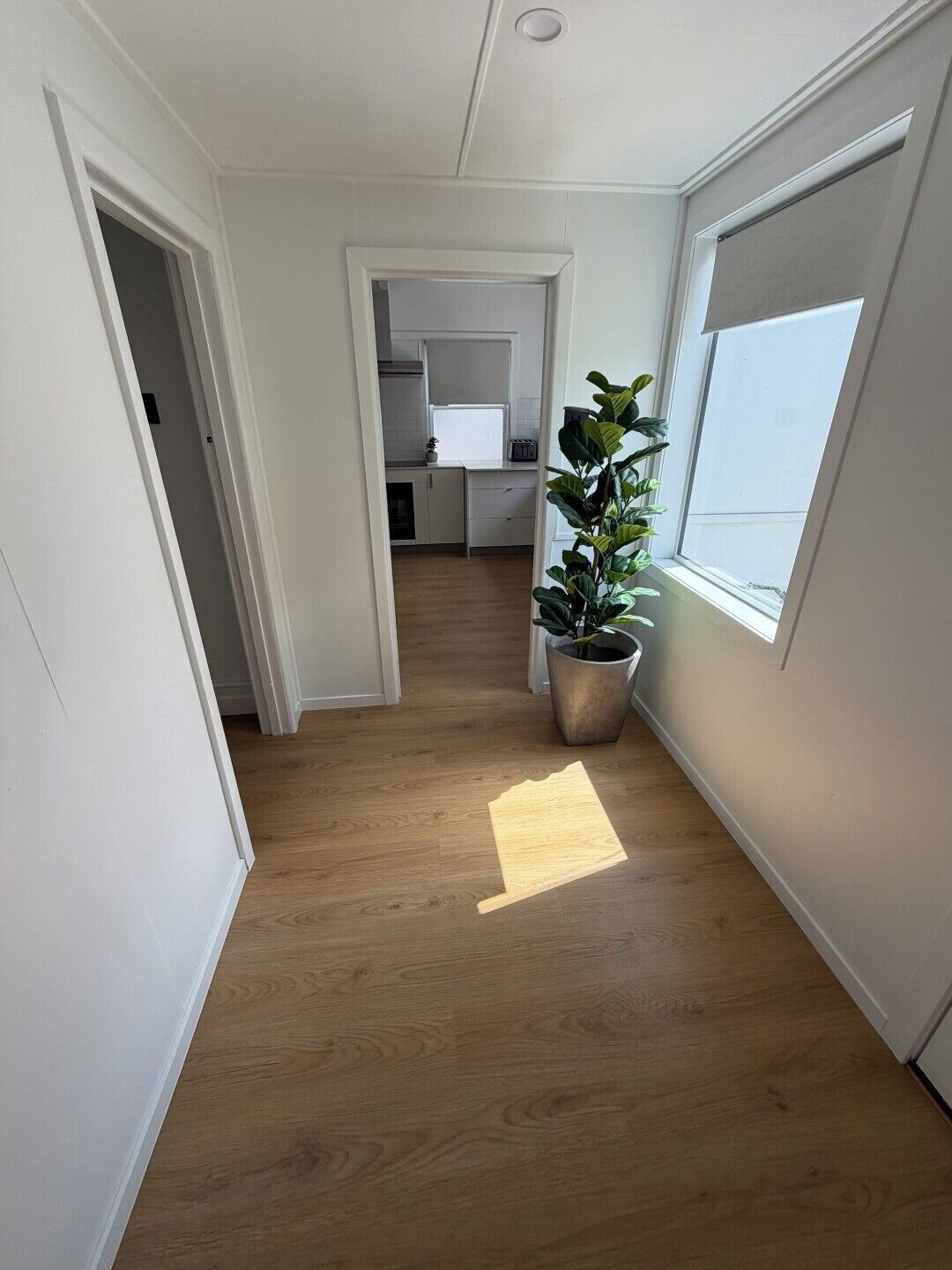 Un couloir étroit avec un plancher en bois, des murs blancs et une plante en pot.
