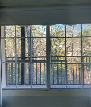 Una ventana con vistas a árboles y una valla.