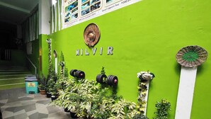 Eine grüne Wand mit dem Schriftzug 'NILVIR' und mehreren Kübelpflanzen.
