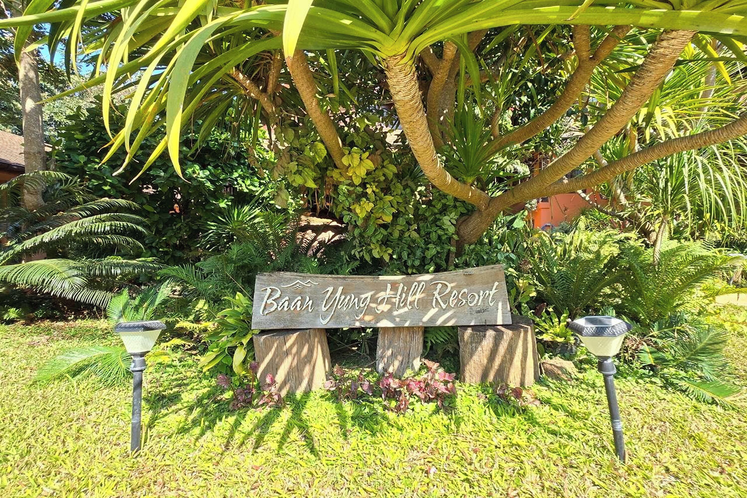 A wooden sign with the text "Baan Yung Hill Resort" surrounded by lush greenery and a palm tree.