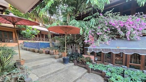 A courtyard with steps leading to a building, surrounded by potted plants and a variety of greenery.