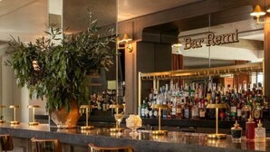 Een bar met een toonbank, barkrukken en een grote potplant.