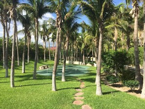 A golf course with palm trees, a putting green, and a stone pathway.