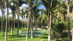 Een golfbaan met palmbomen, een putting green en een pad van steen.