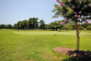 Golf - 2 King Beds, 3BR w Pond View, Sleeps 8 (Myrtle Beach)