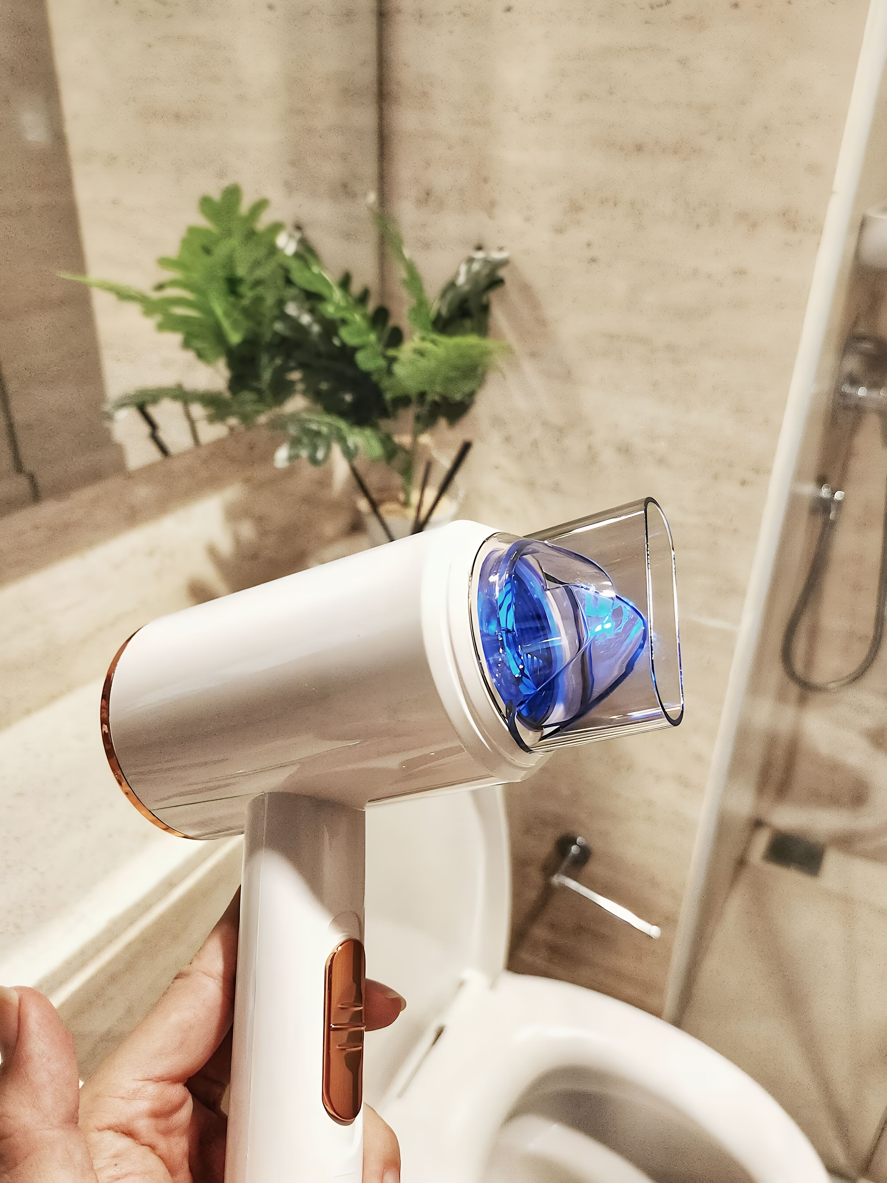 Ein Badezimmer mit Toilette, Duschkabine aus Glas und einem Blumentopf.
