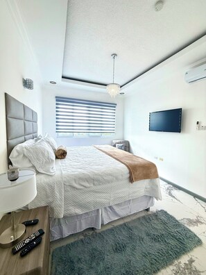 1 bedroom, iron/ironing board, Internet, bed sheets - Cozy 1-bedroom apartment in quaint Kingston with AC and gym (Kingston)
