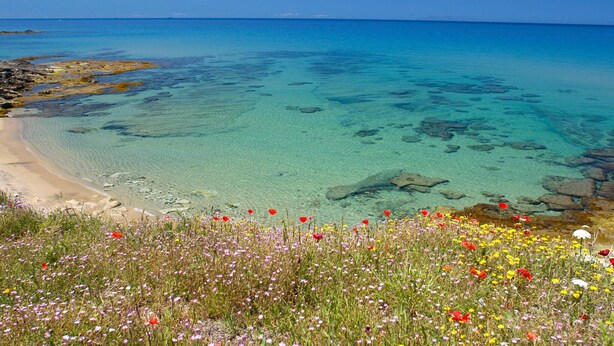 Une plage côtière aux eaux turquoise et limpides, bordée d’affleurements rocheux.