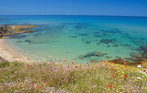 A coastal beach with clear turquoise waters and rocky outcrops. - 2 bedroom beautiful apartment in Marina di Sorso (Marina di Sorso)