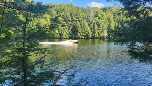 Un bote en un lago tranquilo rodeado de un bosque denso.