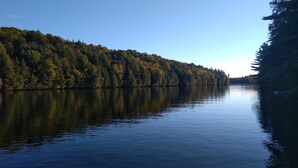 Un río tranquilo con un bosque denso a un lado y un cielo despejado.