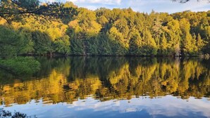 Un lago tranquilo que refleja árboles y una ladera boscosa.