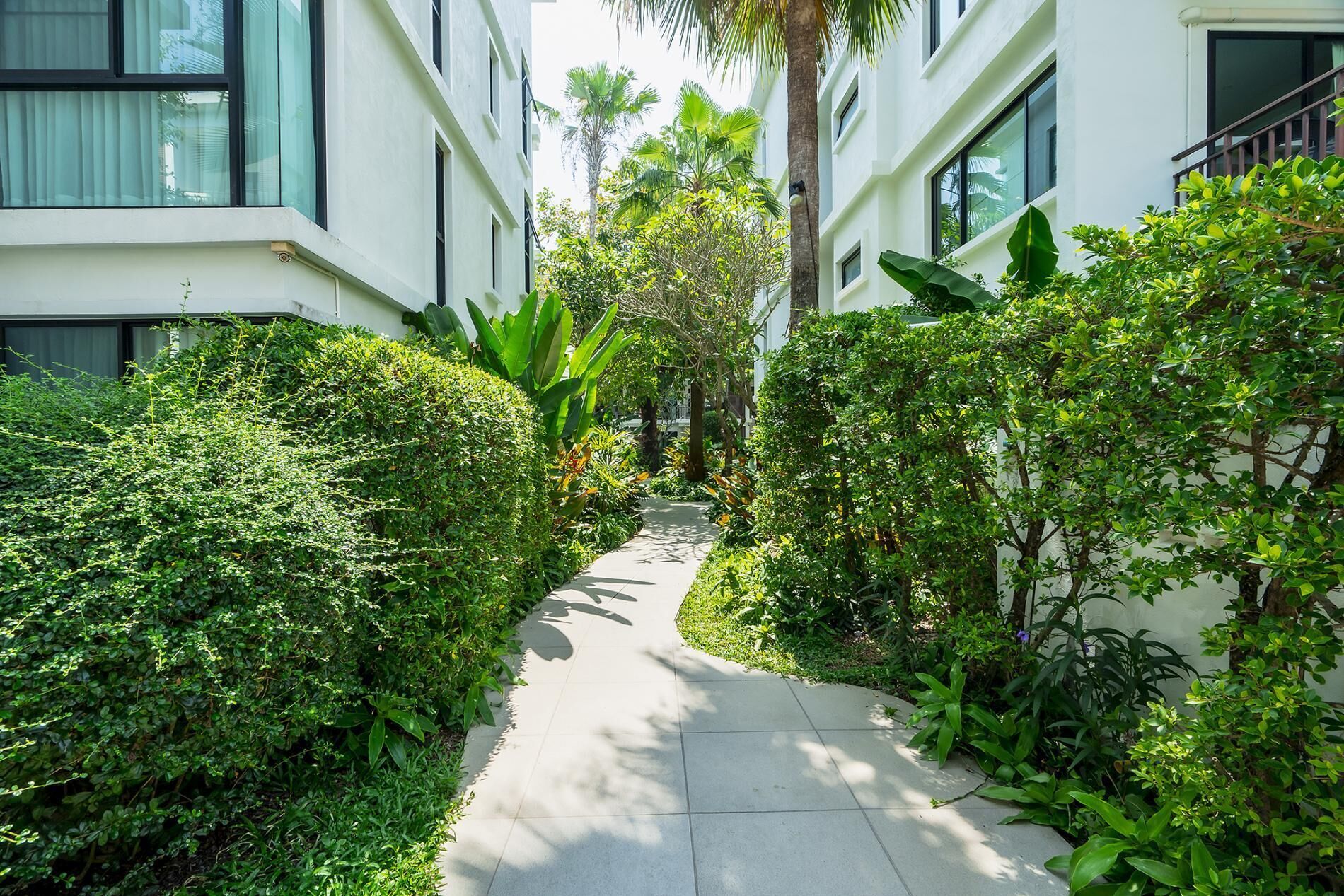 A pathway flanked by lush greenery and white buildings with large windows.