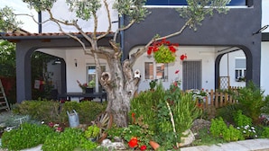 A garden with a large tree, various plants, and a stone wall. - Studio mit Klimaanlage und Pool (Valbandon)