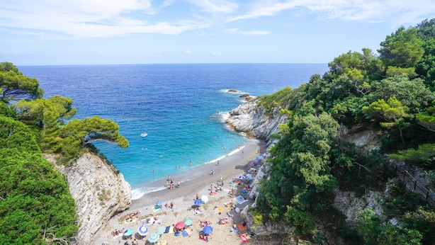 Une plage côtière bordée de falaises rocheuses et d’une végétation luxuriante.