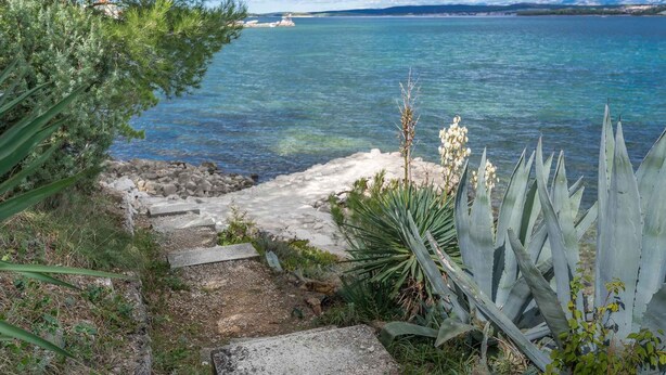 Un sentiero costiero che conduce a una spiaggia con acque cristalline, immerso nel verde e circondato da piante di agave.