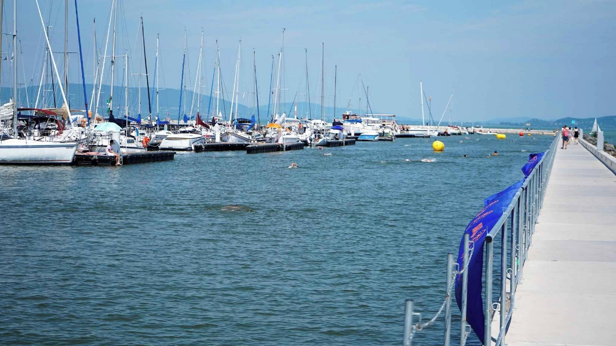 A marina with numerous sailboats docked along a pier.