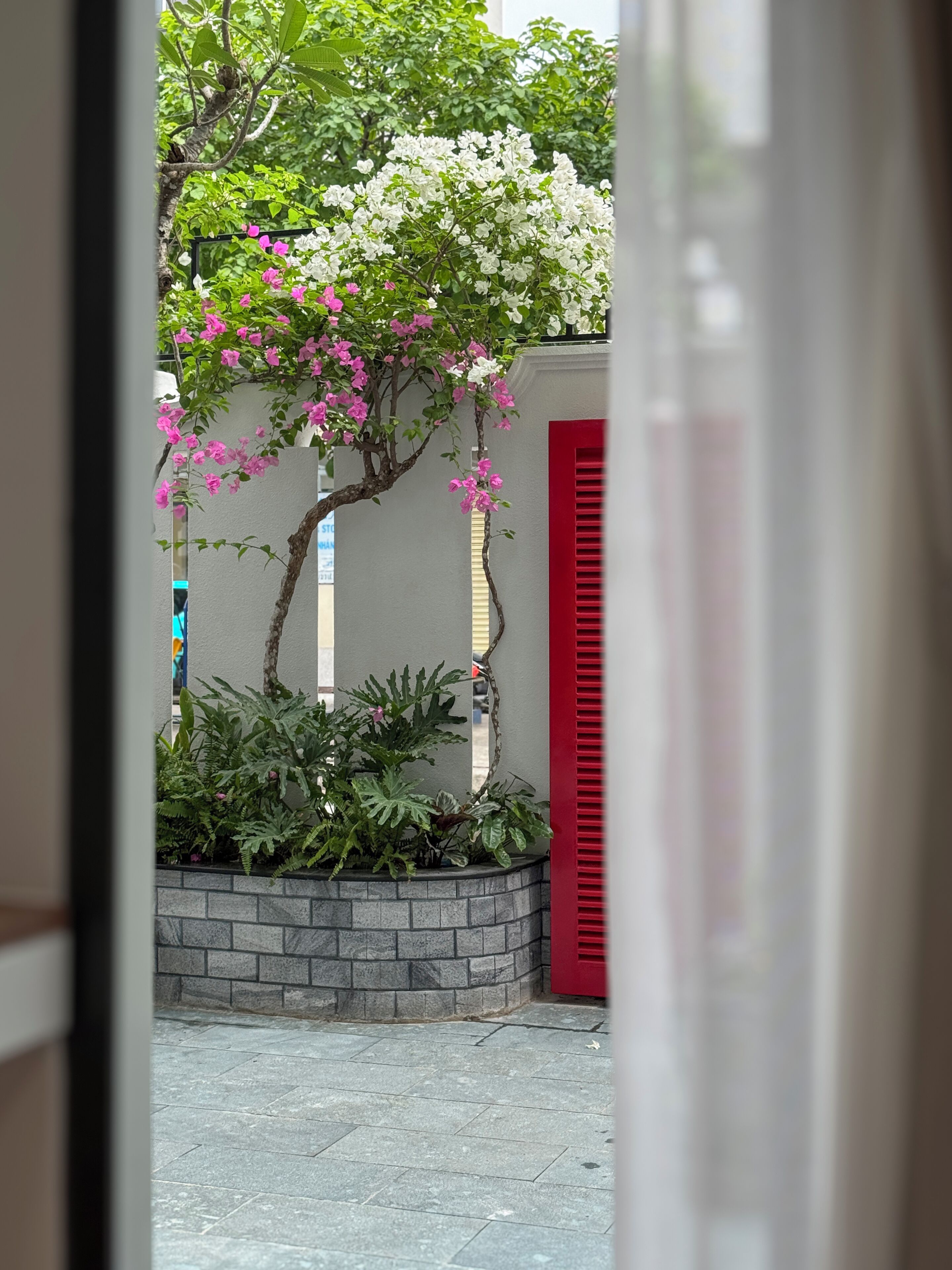 Senior Apartment, Patio, Garden View | Courtyard view