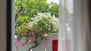 Une vue d’un jardin avec des plantes en fleurs et une porte rouge.