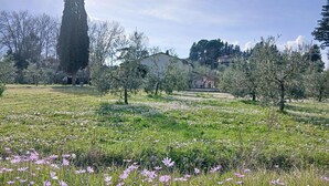 A rural landscape with a field of flowers, trees, and a building in the background. - Beautiful home in Lari with outdoor swimming pool (Lari)