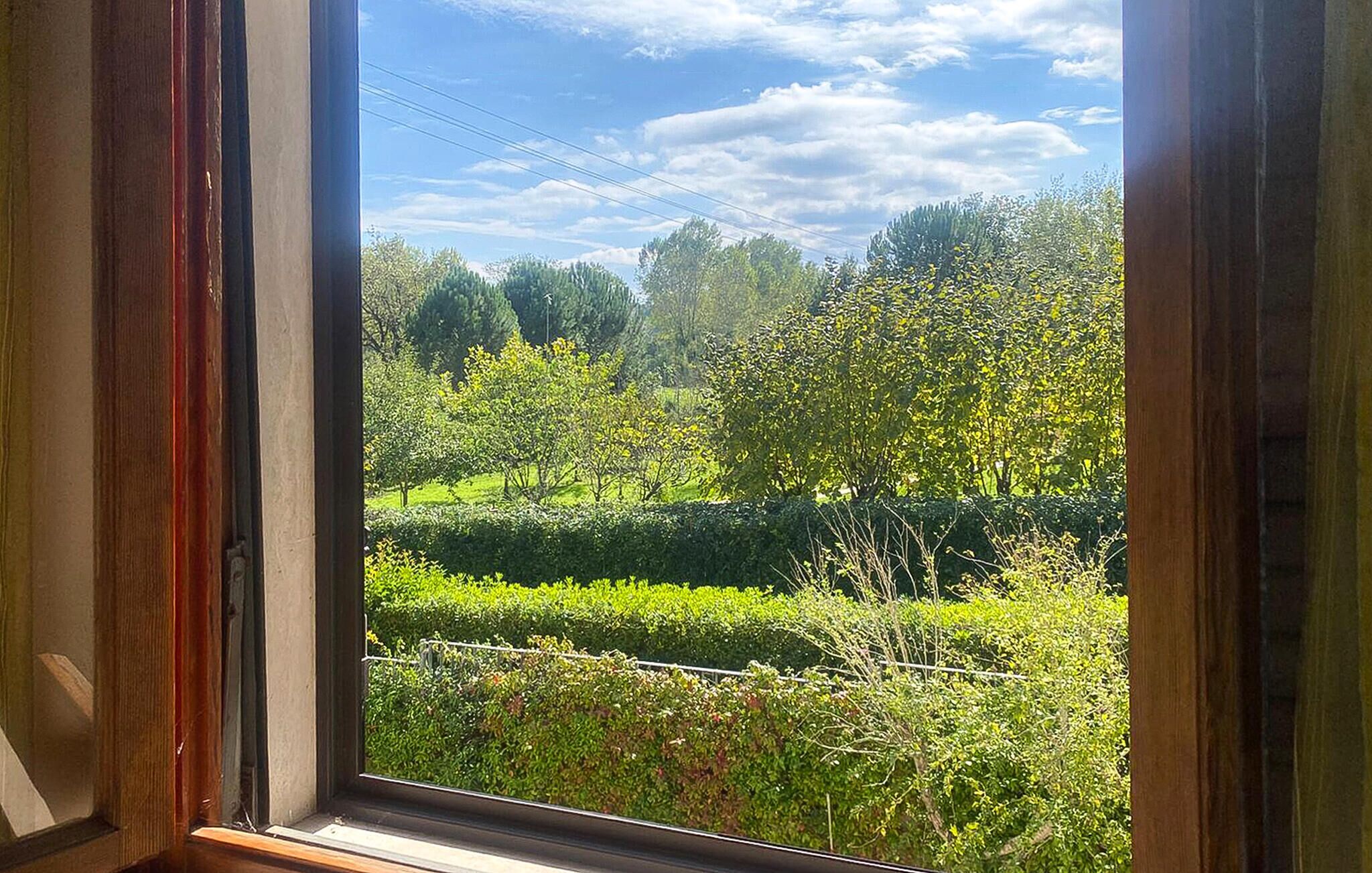 Ein Fenster mit Blick auf einen gepflegten Garten mit verschiedenen Bäumen und Hecken.