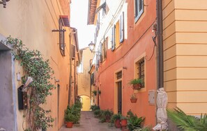 A narrow alleyway with buildings on either side, featuring balconies with potted plants and a statue in the foreground. - Gorgeous home in Lari with house a panoramic view (Lari)