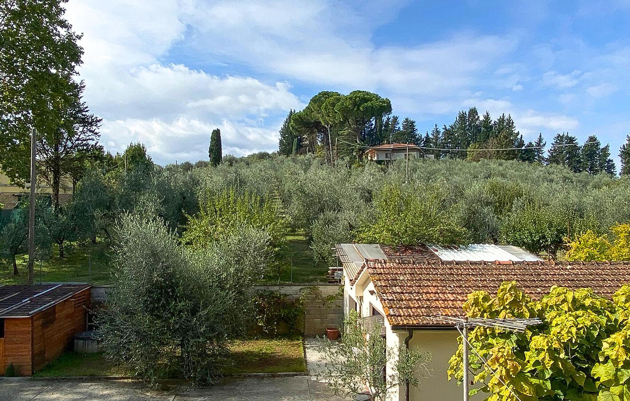 A rural property with a house, olive trees, and a clear sky.