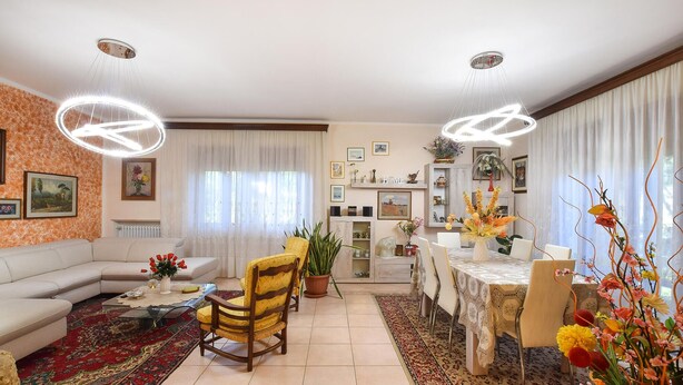 A living room with a sofa, a dining table with chairs, a coffee table, and a potted plant. - Cozy apartment in Calci (Calci)