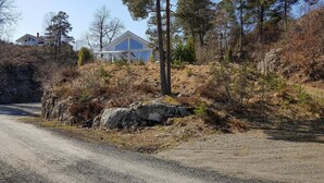 Un camino rural que lleva a una casa rodeada de árboles y arbustos.