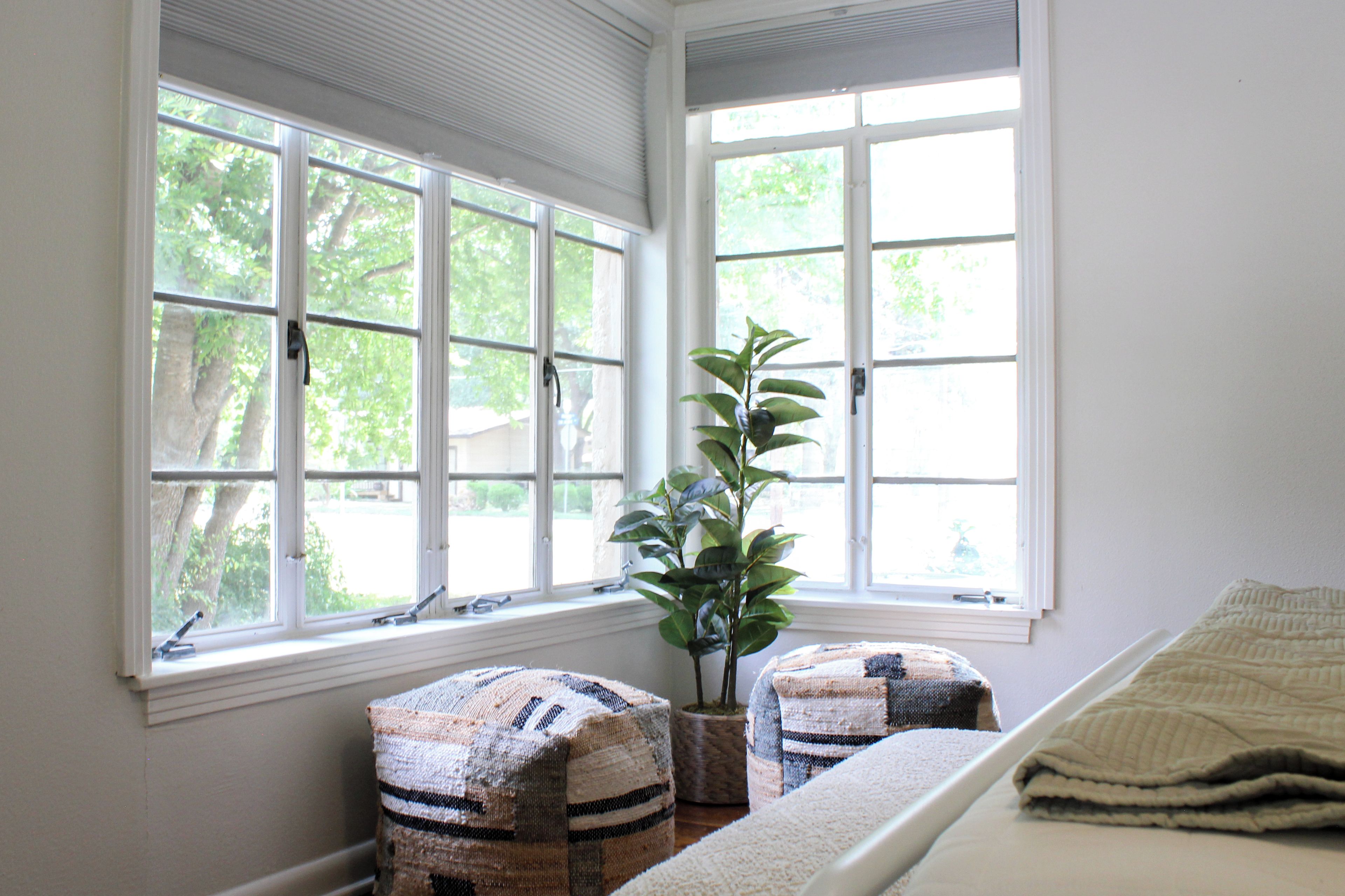A room with large windows, a potted plant, and two upholstered chairs.