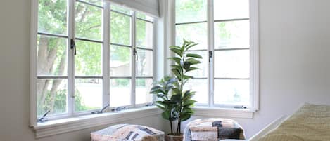 A room with large windows, a potted plant, and two upholstered chairs.